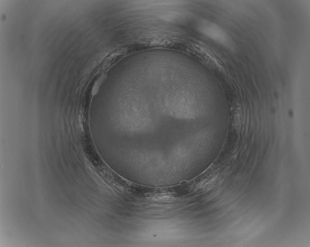 X0000071910643200607281829