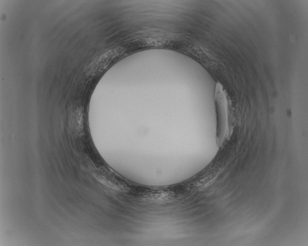 X0000071910646200607281829