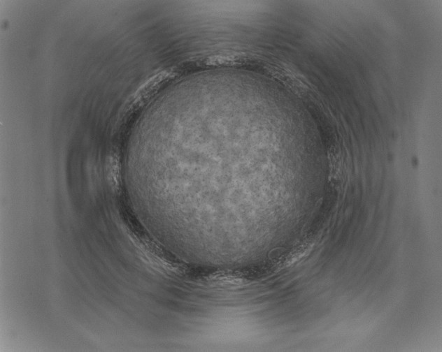 X0000071910648200607281829