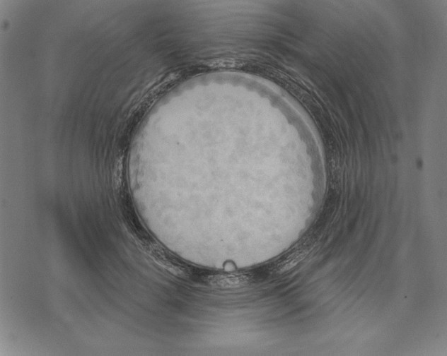 X0000071910652200607281829