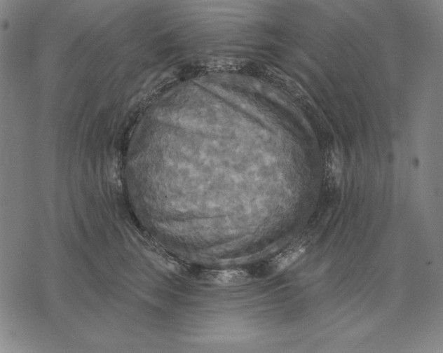 X0000071910663200607281830