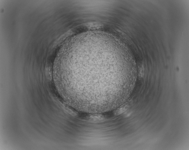 X0000071910666200607281830
