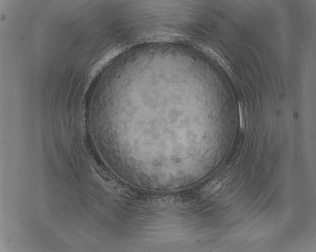 X0000071910675200607281829