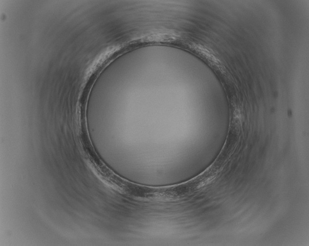 X0000071910678200607281829