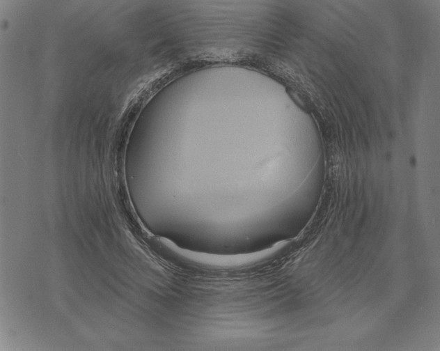 X0000071910688200607281829