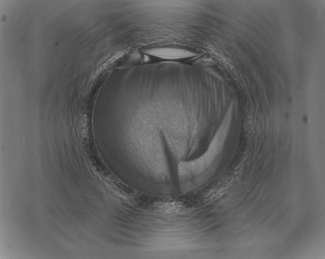 X0000071910689200607281829