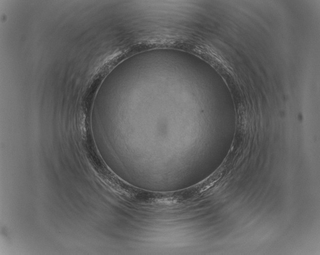 X0000071910692200607281829