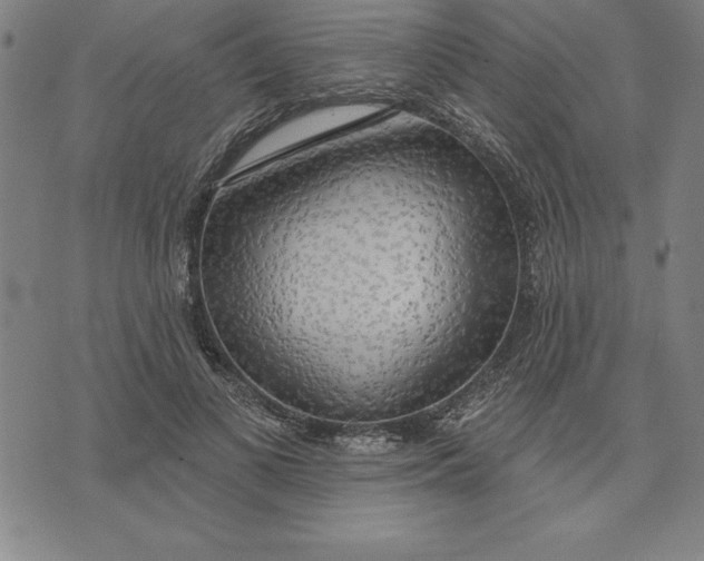 X0000071910693200607281829