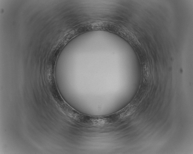 X0000071910698200607281829