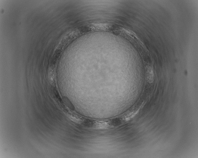 X0000071910701200607281828