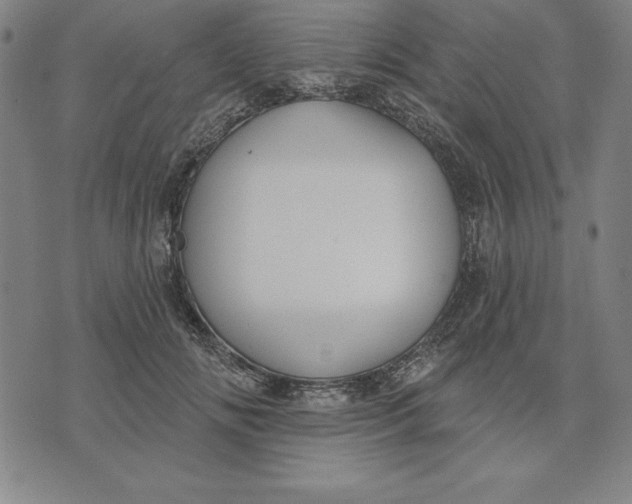 X0000071910702200607281828