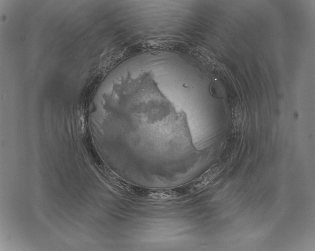 X0000071910703200607281828