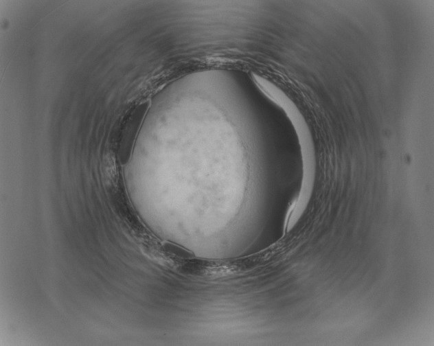 X0000071910704200607281828