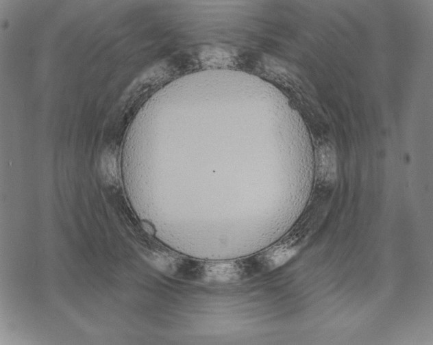 X0000071910705200607281828