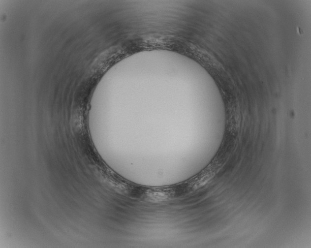 X0000071910706200607281828