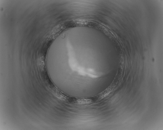 X0000071910707200607281828