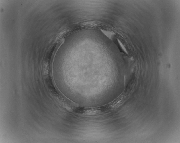 X0000071910708200607281828