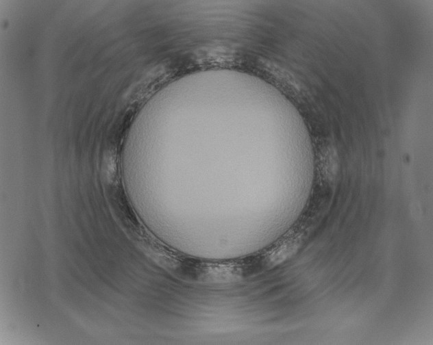 X0000071910709200607281828