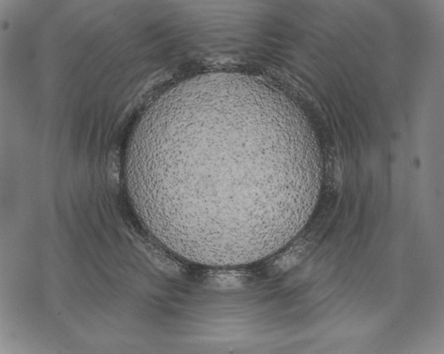 X0000071910710200607281828