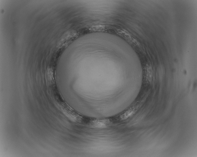 X0000071910711200607281828