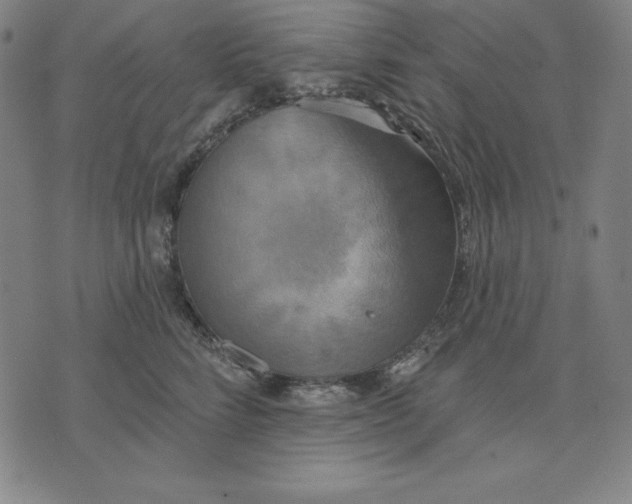 X0000071910712200607281828