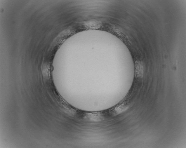 X0000071910713200607281828