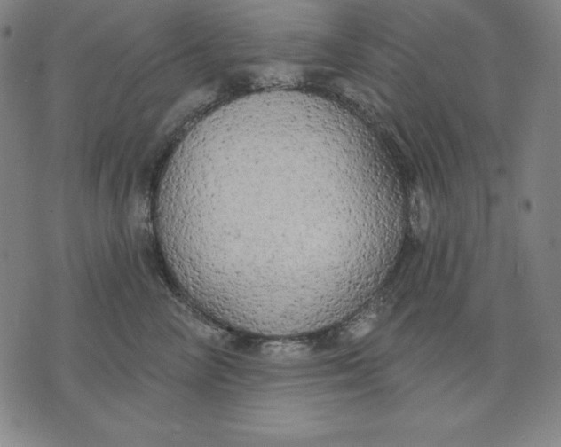 X0000071910714200607281828