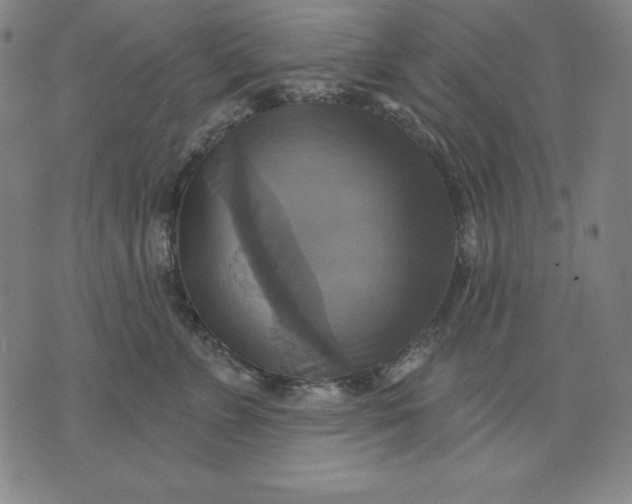 X0000071910715200607281828