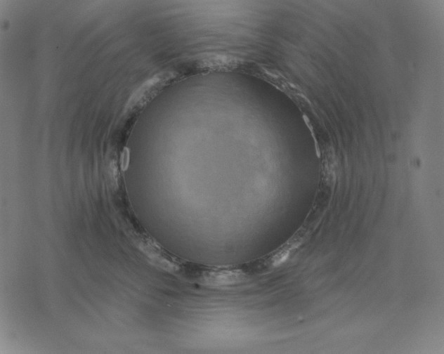 X0000071910716200607281828