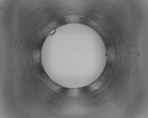 X0000071910717200607281828