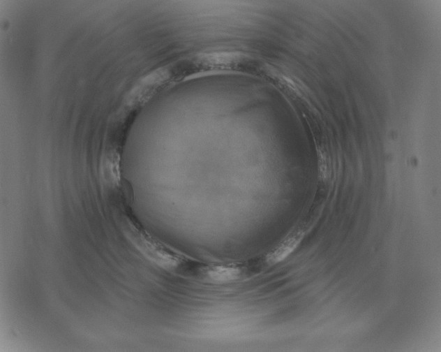 X0000071910718200607281828