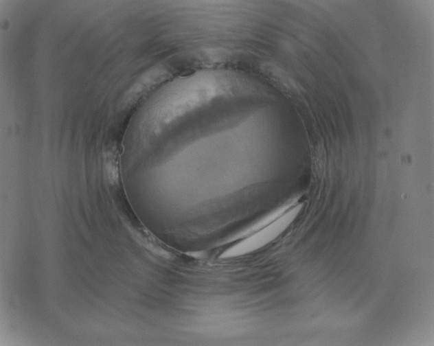 X0000071910719200607281828