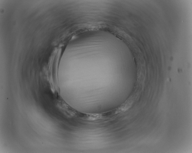 X0000071910720200607281828