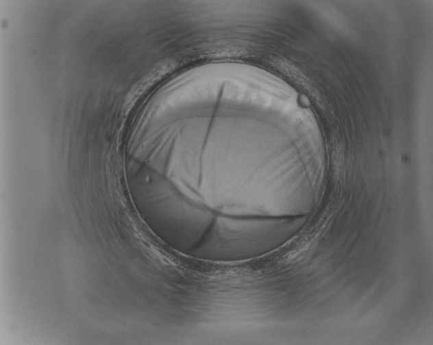 X0000071910721200607281827