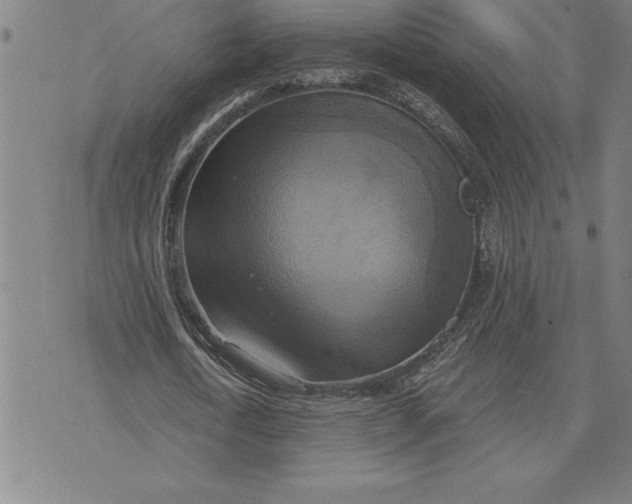 X0000071910722200607281827