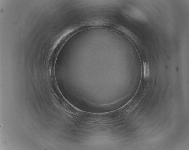 X0000071910723200607281827