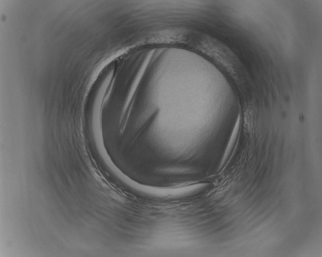 X0000071910724200607281827