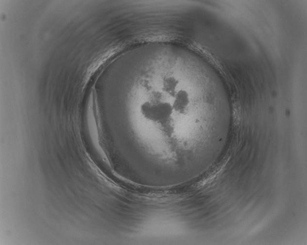 X0000071910725200607281827