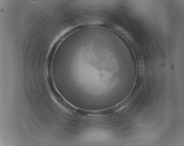 X0000071910726200607281827