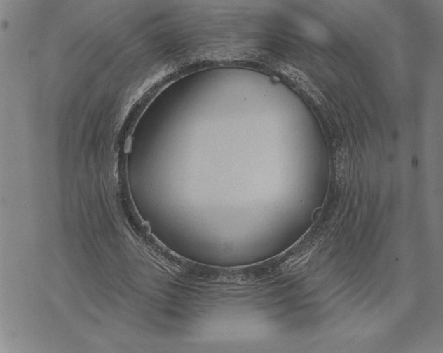 X0000071910727200607281827