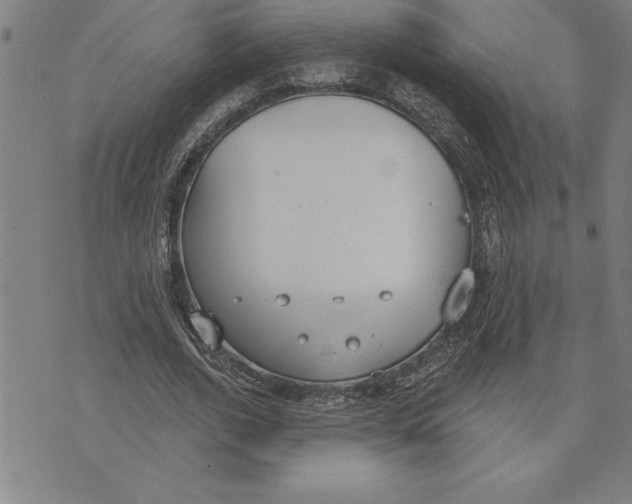 X0000071910728200607281828