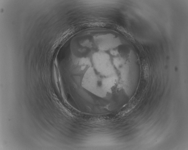 X0000071910729200607281828