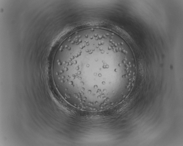 X0000071910730200607281828