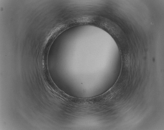 X0000071910731200607281828