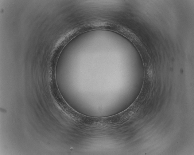 X0000071910732200607281828