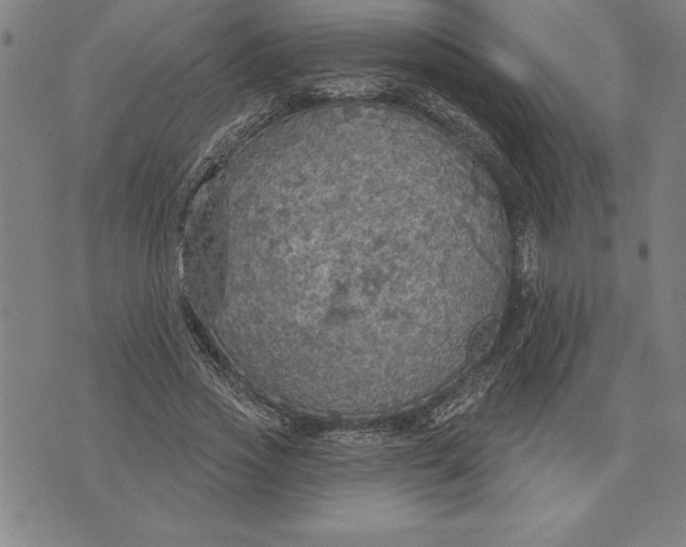 X0000071910733200607281828