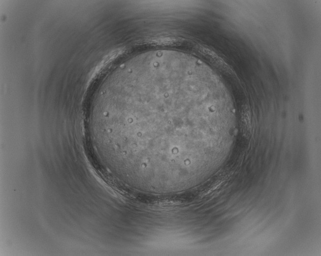 X0000071910734200607281828