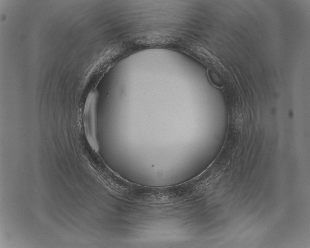 X0000071910735200607281828