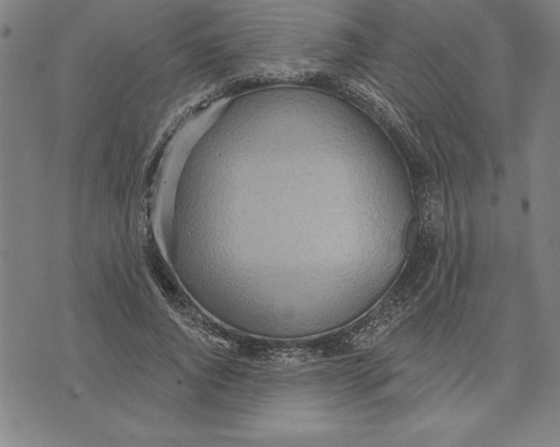 X0000071910736200607281828