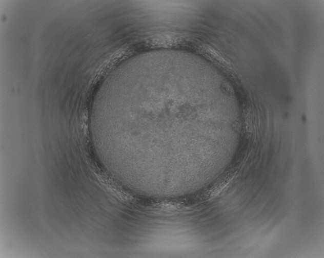 X0000071910737200607281828